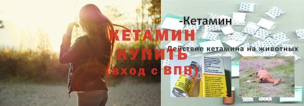 круглые Осинники