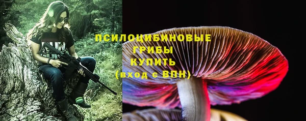 mdpv Остров