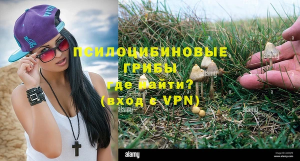 МДПВ Осташков