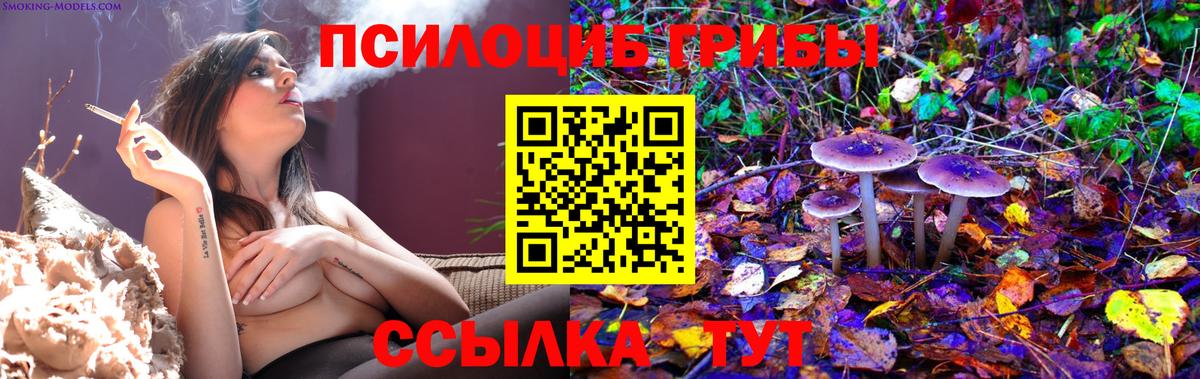 Галлюциногенные грибы Magic Shrooms  Вход с VPN  Белгород 
