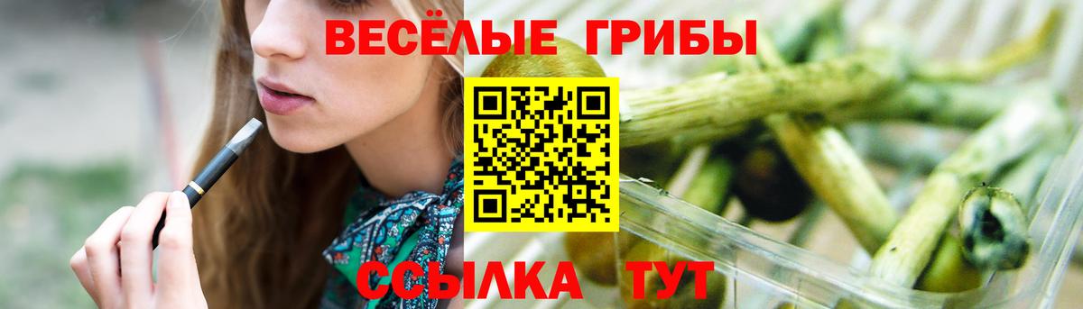 Псилоцибиновые грибы мицелий Белгород